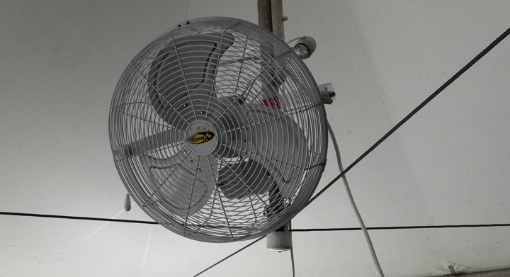 tent-fan-rentals-mi-2